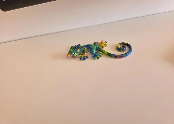 Auramar Коста Калма